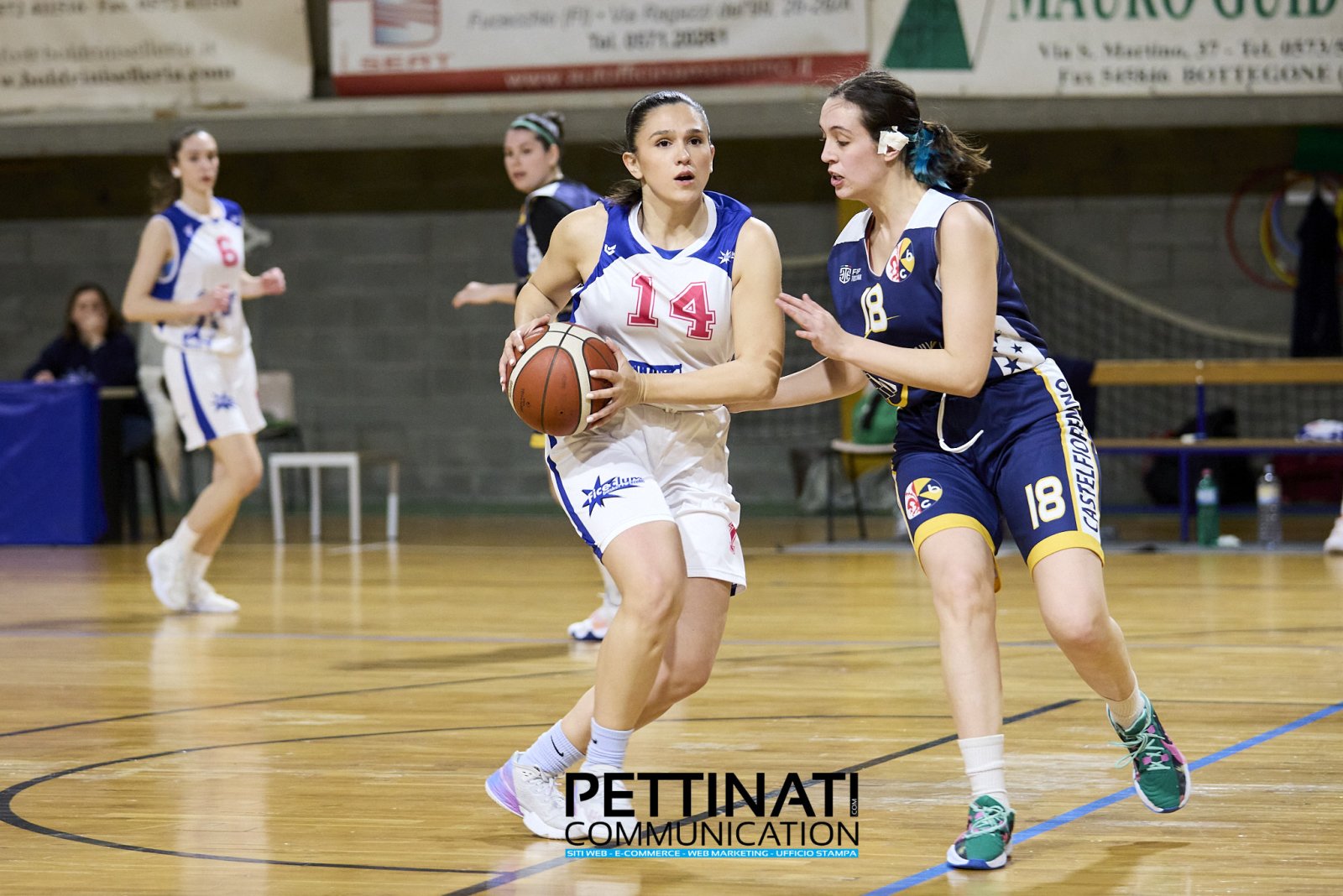 Basket: Ficeclum - Castelfiorentino