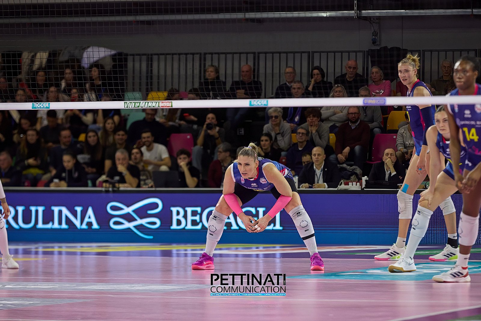 Savino Del Bene Volley - Igor Gorgonzola Novara
